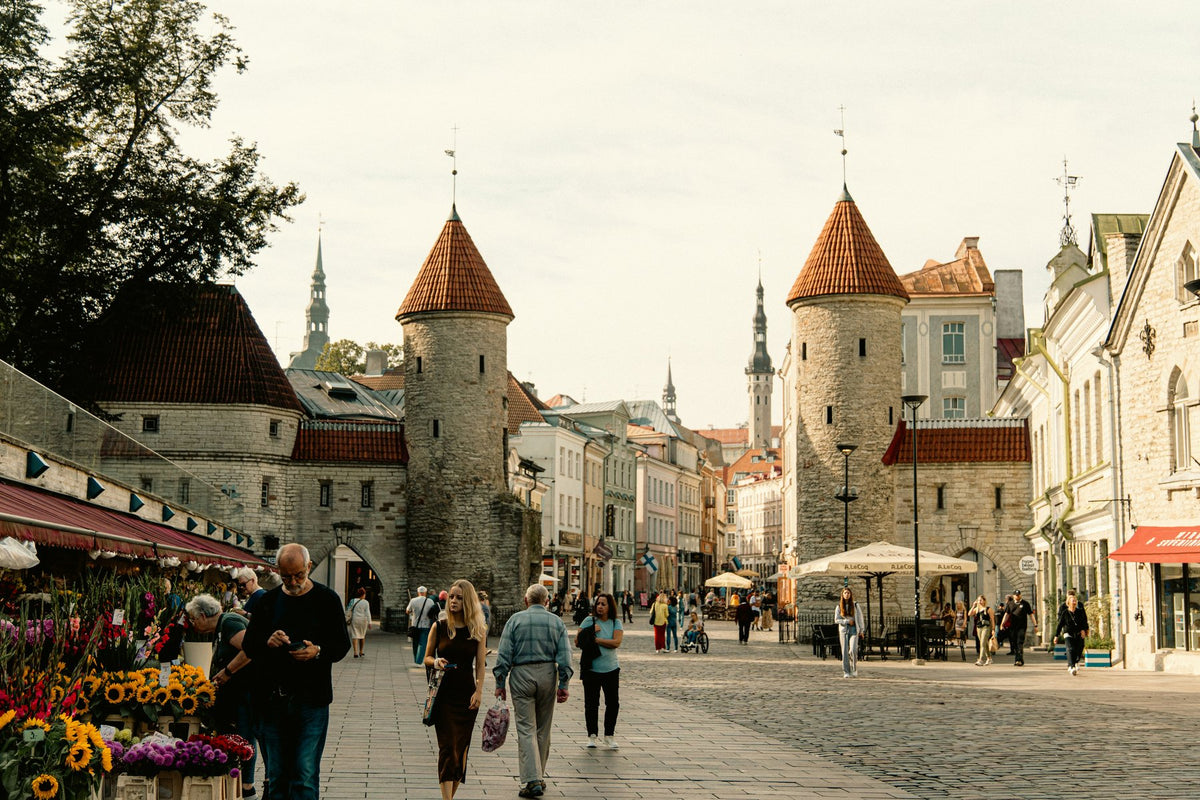 Archival study of Estonian cultural texture