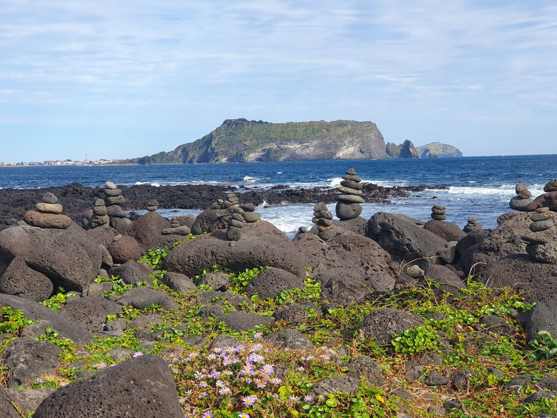 Jeju Island, South Korea visual study 03