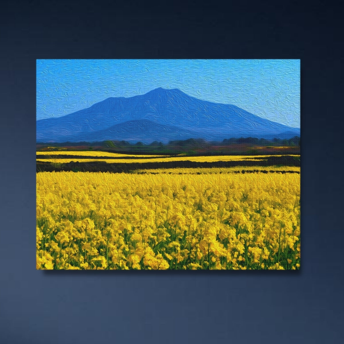 Hallasan Mountain Canola Fields — Jeju Island, South Korea, study 4