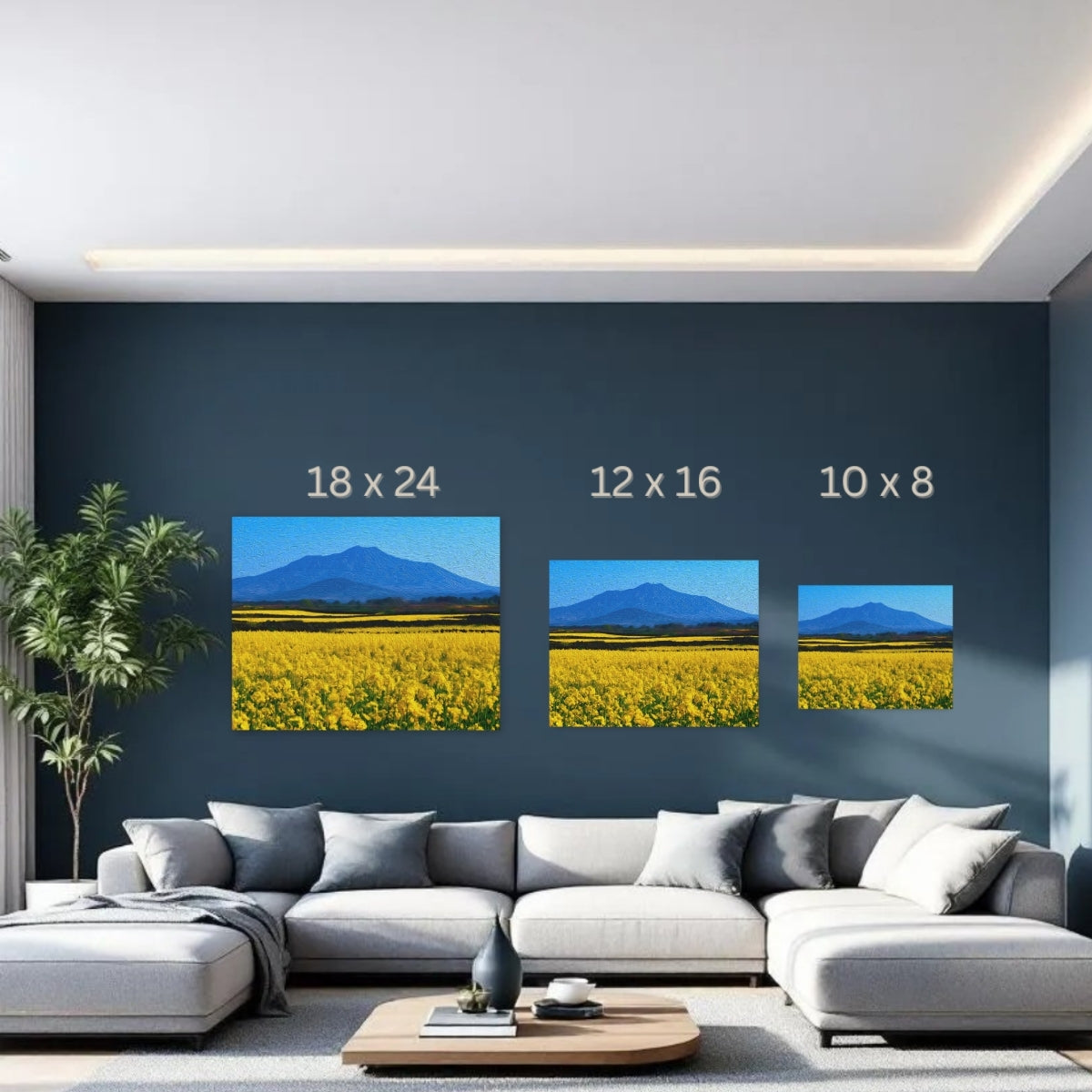 Hallasan Mountain Canola Fields — Jeju Island, South Korea, study 3