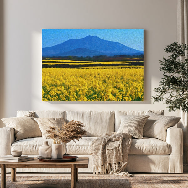 Hallasan Mountain Canola Fields