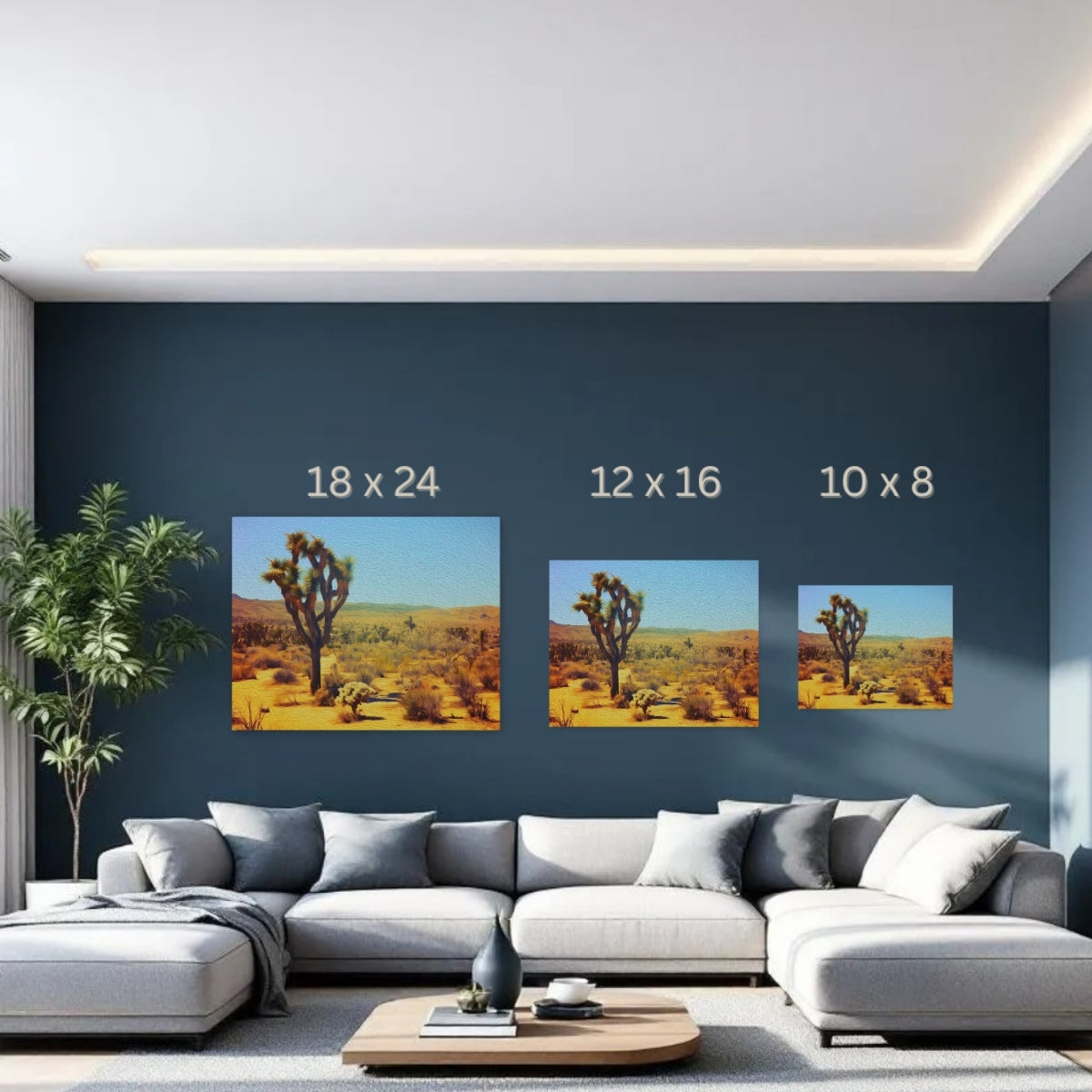 Joshua Tree, California Study No. 3