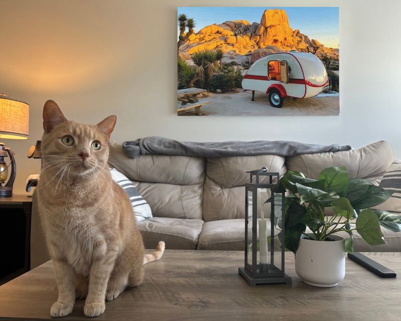 Joshua Tree Boulder Campsite — Joshua Tree, California, view 2