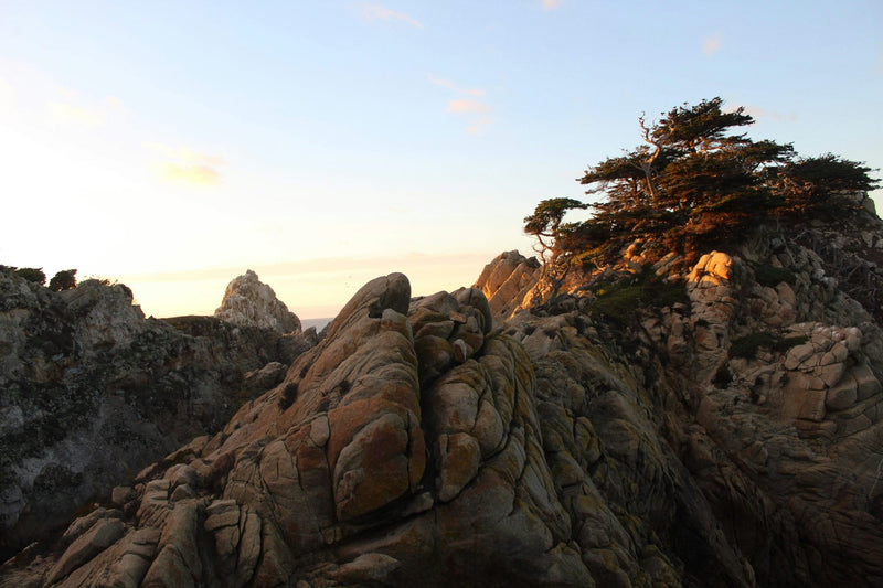 The Monterey Peninsula, California study No. 03