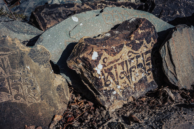 Kakadu National Park, Australia study No. 03