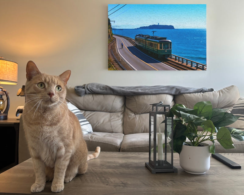 Enoshima Island Coastal Train — Kamakura, Japan, view 2
