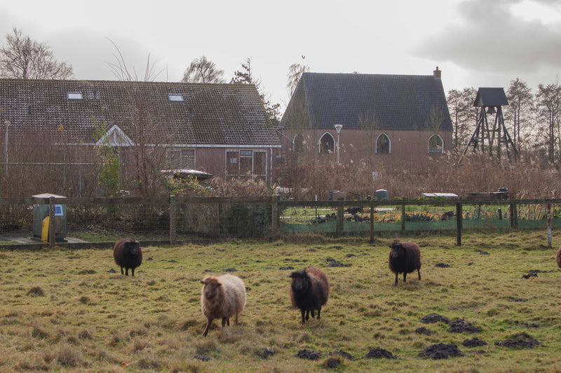 Giethoorn, Netherlands study No. 03