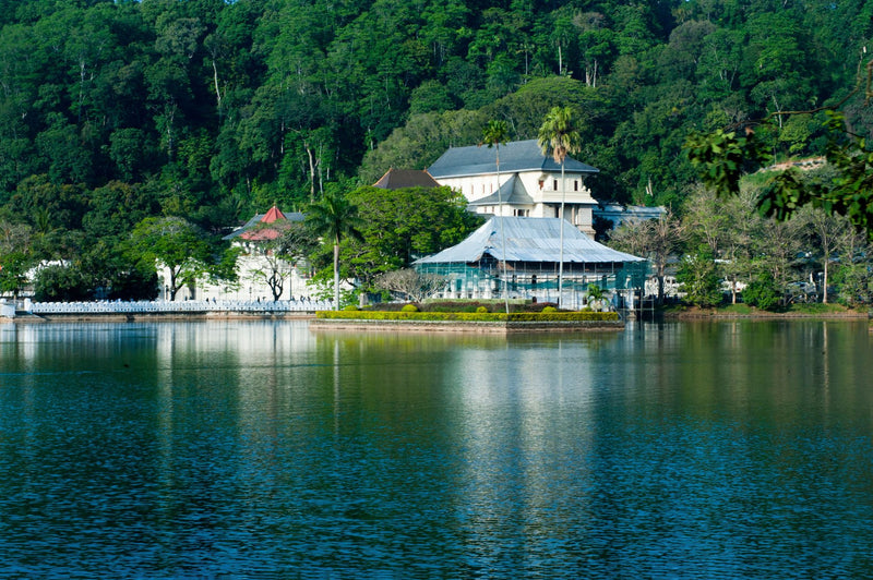 Kandy, Sri Lanka study No. 01