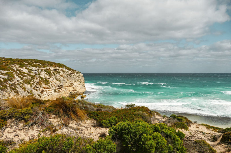Kangaroo Island, Australia study No. 01