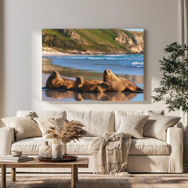 Seal Bay Sea Lions