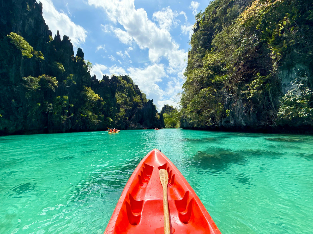 Palawan, Philippines study No. 02