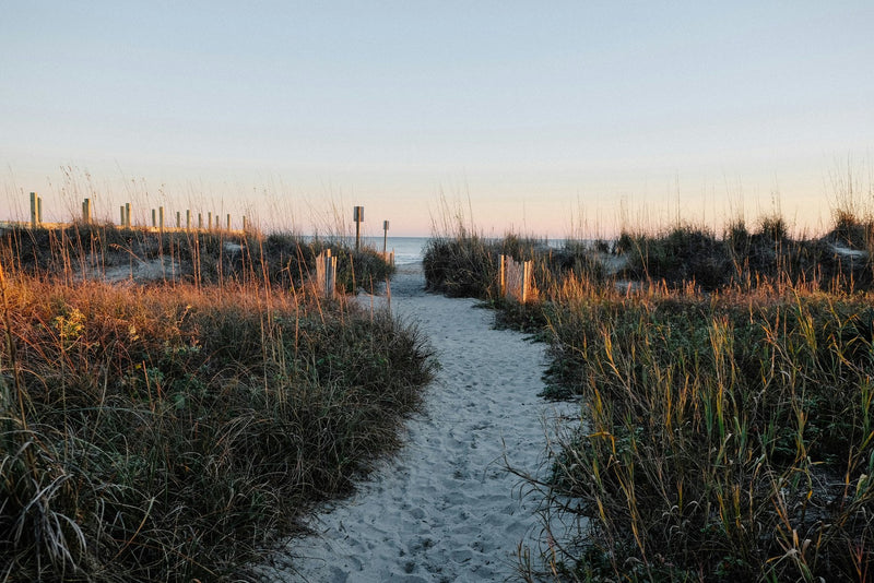 Charleston, South Carolina study No. 03