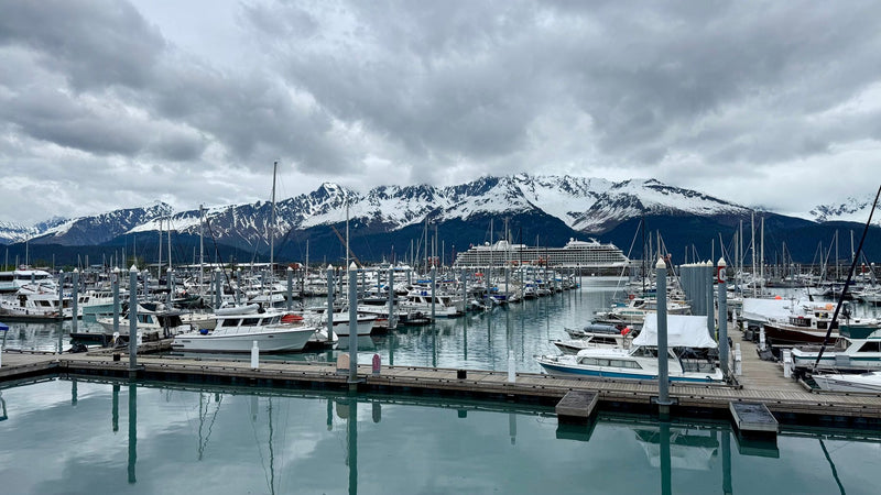 Kenai Fjords, Alaska study No. 02