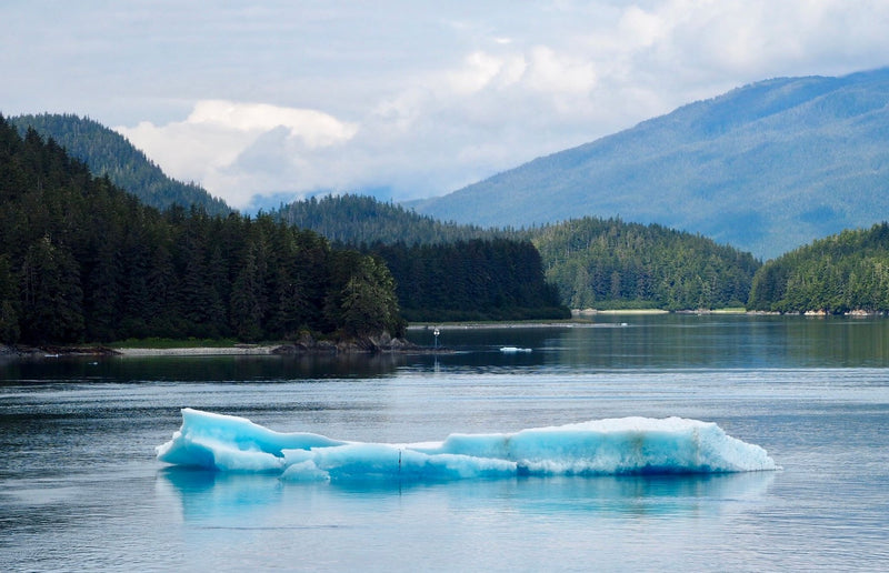 Kenai Fjords, Alaska study No. 03