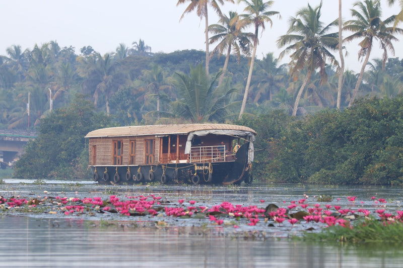 Kerala Backwaters, India visual study 02