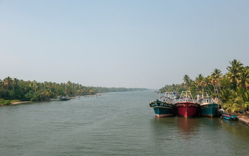 Kerala Backwaters, India visual study 03