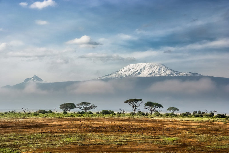 Kilimanjaro, Tanzania study No. 01