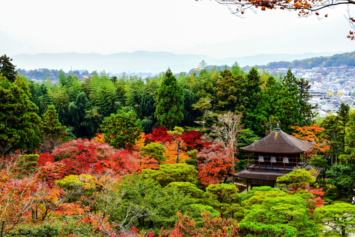 Kyoto, Japan study No. 01