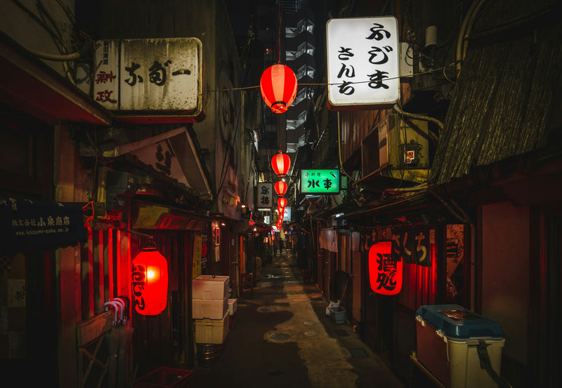 Tokyo, Japan visual study 02