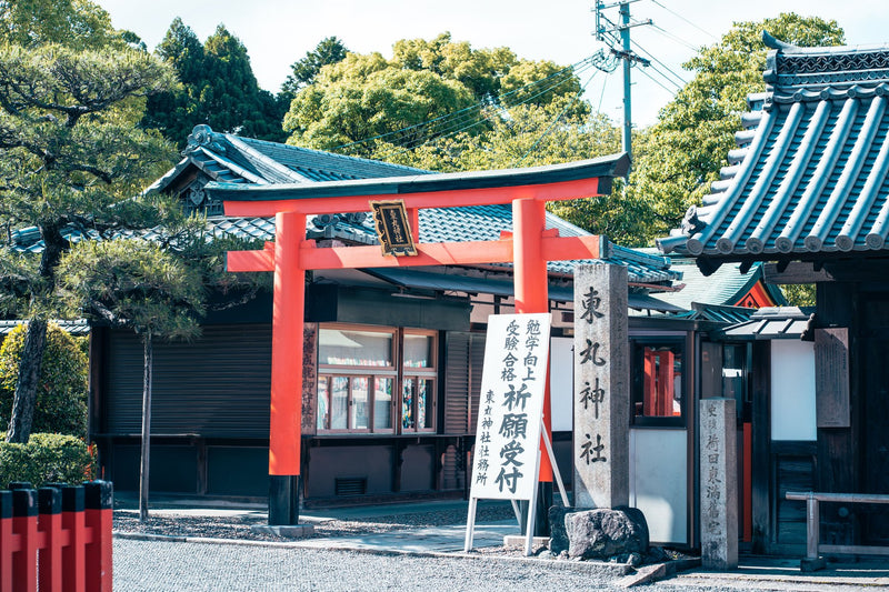 Kyoto, Japan visual study 01