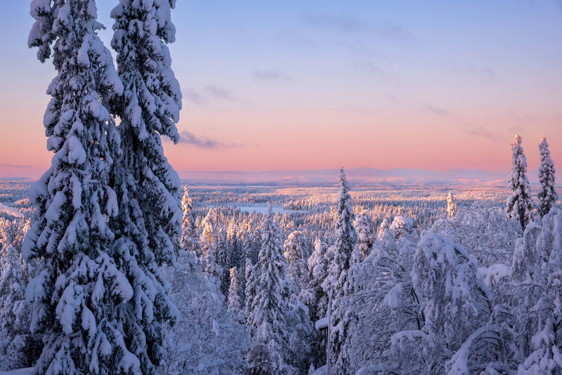 Lapland, Finland visual study 01