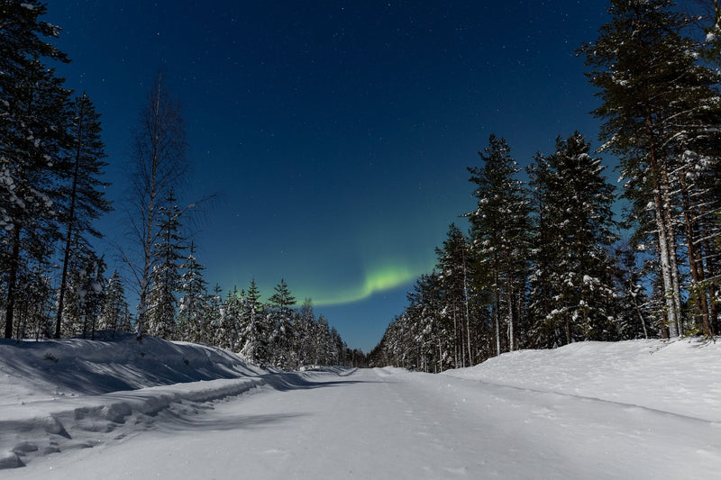 Lapland, Finland visual study 02