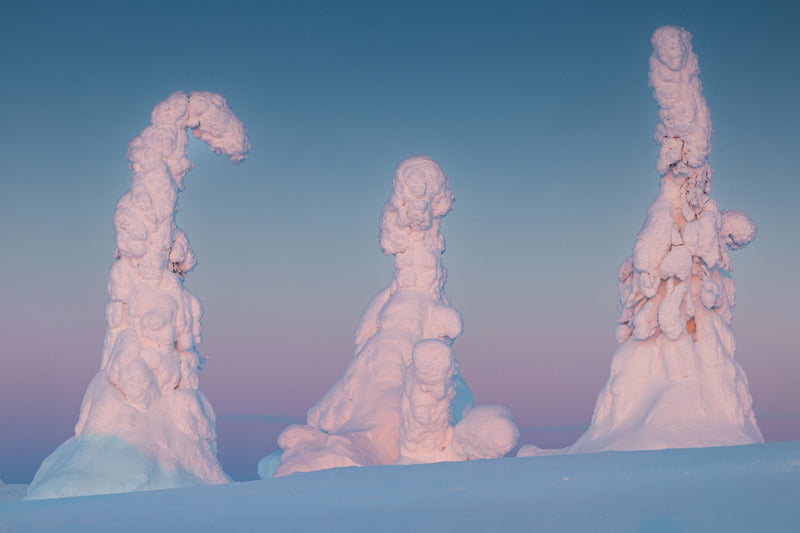 Lapland, Finland visual study 03