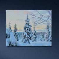 Snowy Lapland Winter Forest — close-up thumbnail