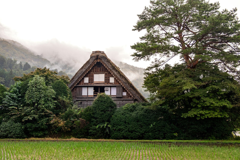 Shirakawa-go, Japan visual study 02