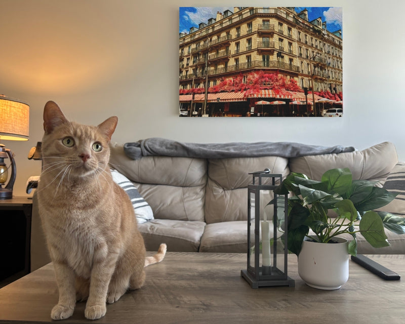 Le Marais Café Corner — Le Marais, Paris, view 2