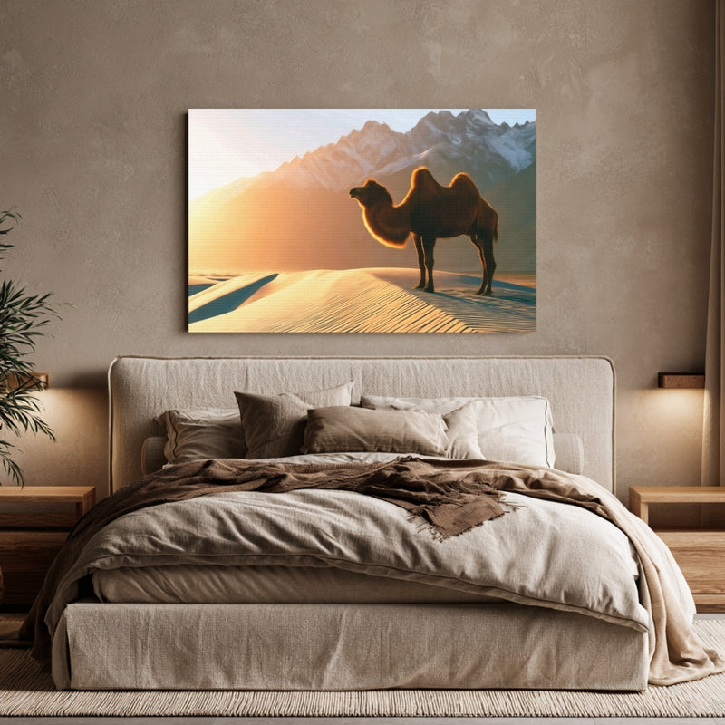 Nubra Valley Sand Dunes — Leh Ladakh, India, view 6