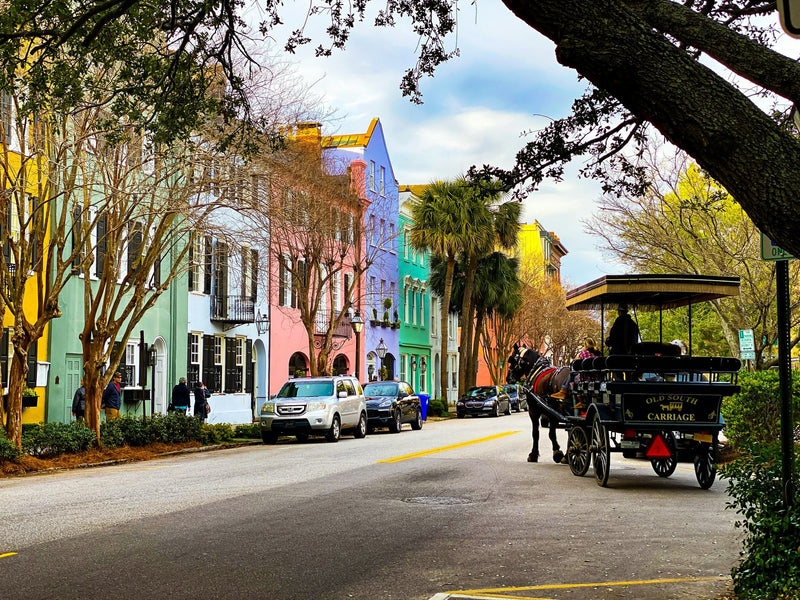 Charleston, South Carolina study No. 01