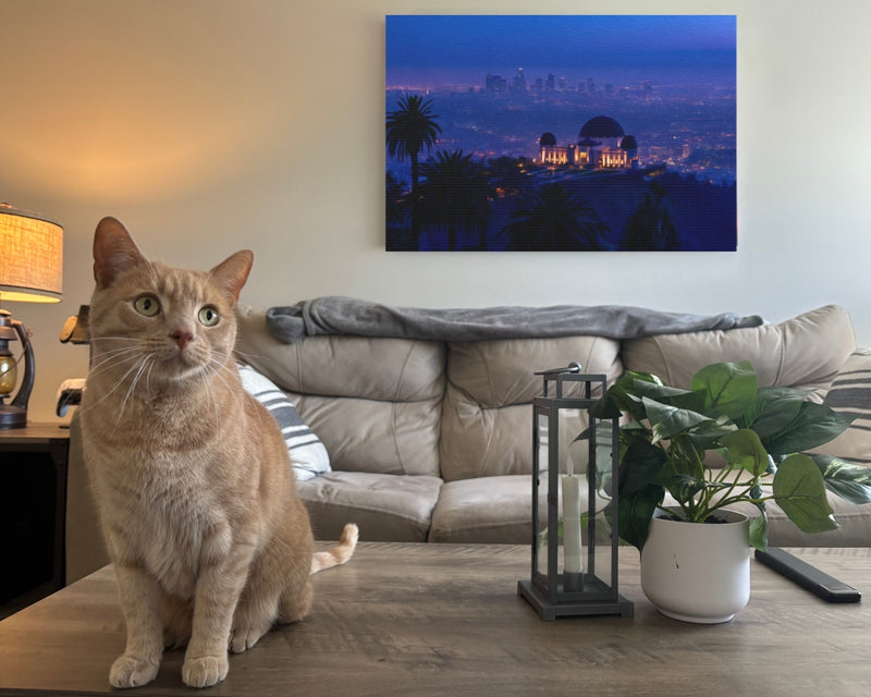Griffith Observatory City Twilight — Los Angeles, California, view 2