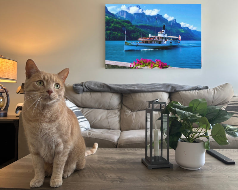 Lake Lucerne Paddle Steamer — Lucerne, Switzerland, view 2