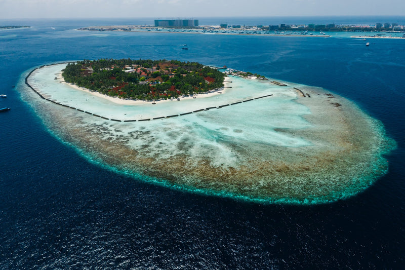 Maldives study No. 01