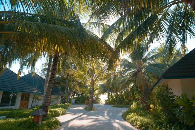 Maldives study No. 02