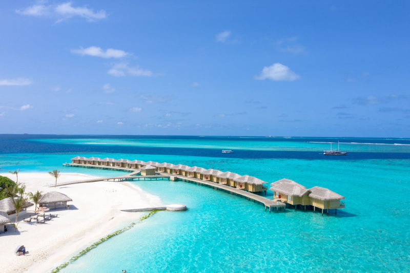 Maldives study No. 03