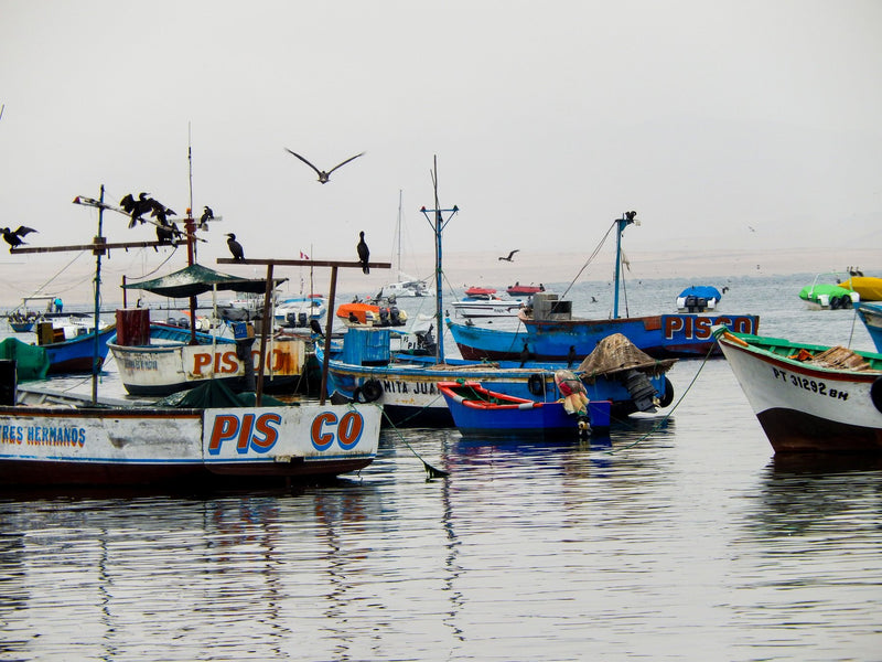 Mancora, Peru visual study 03