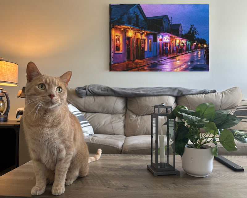 Rainy Night Neon Streets — Marigny, New Orleans, view 2