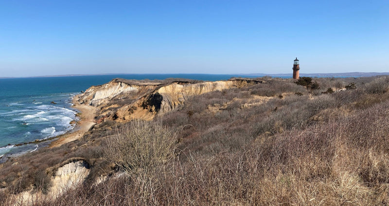 Martha's Vineyard, Massachusetts study No. 01