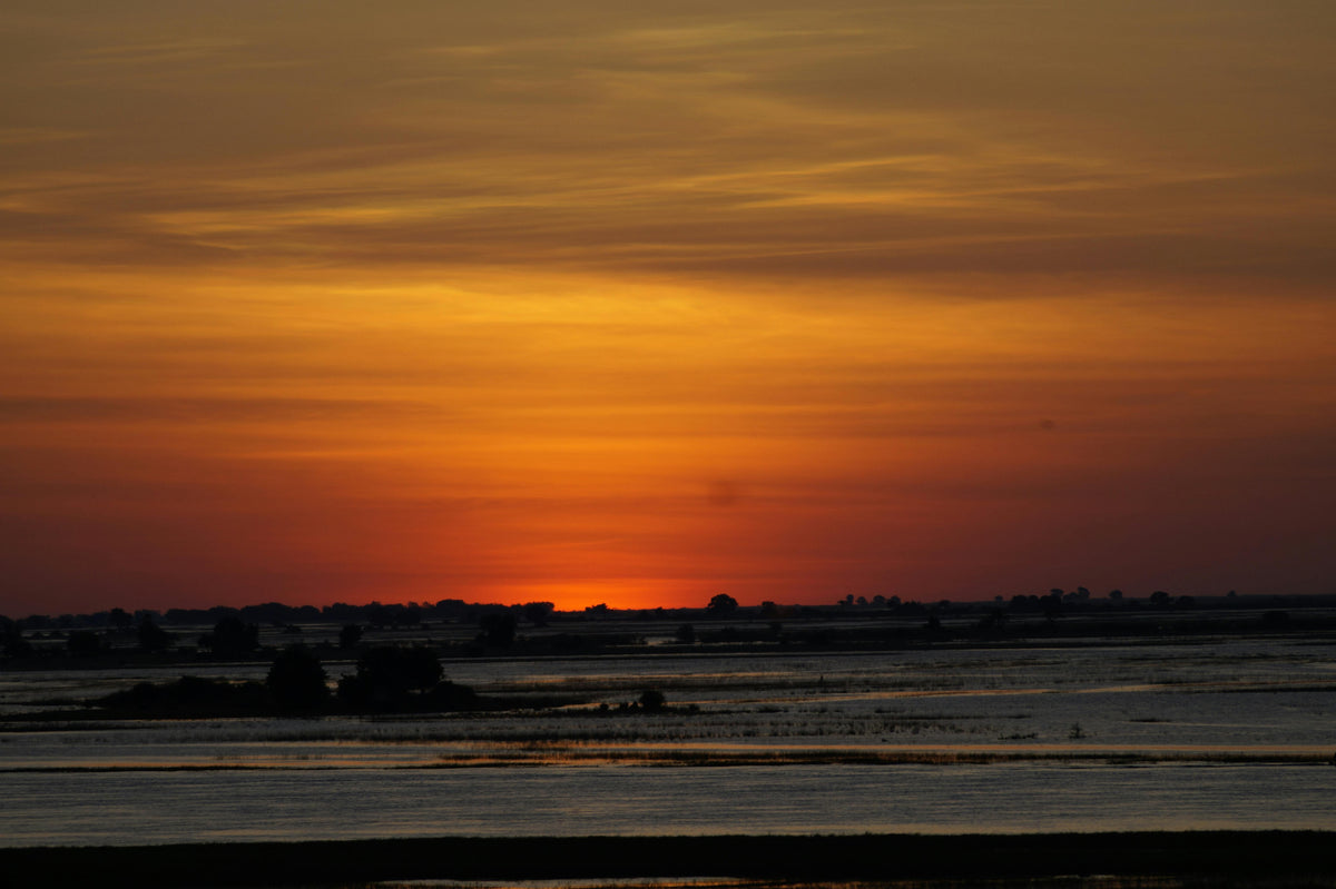 Maun, Botswana study No. 01