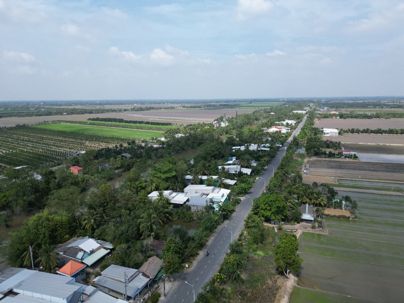 Mekong Delta visual study 01