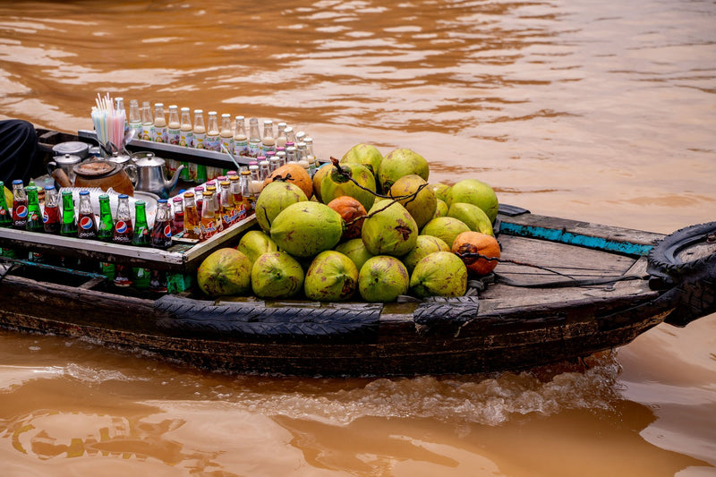 Mekong Delta visual study 02