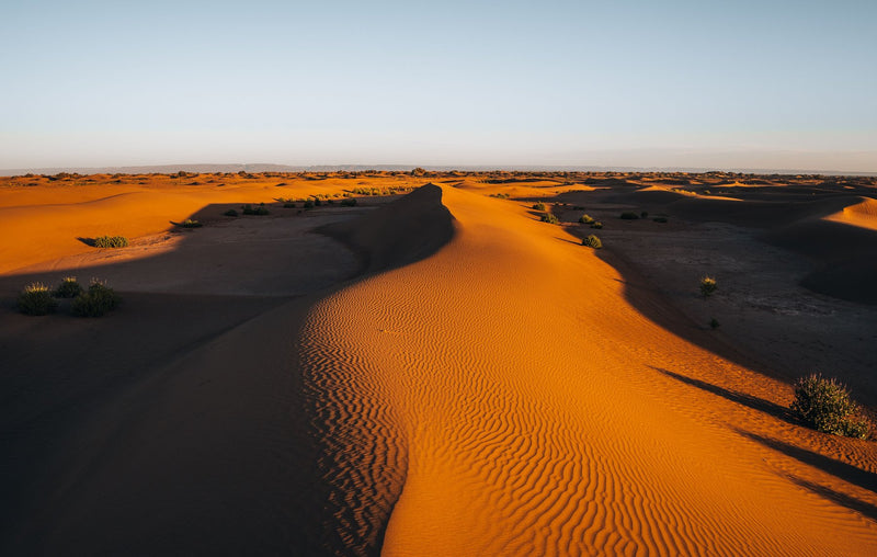 Merzouga, Morocco visual study 03