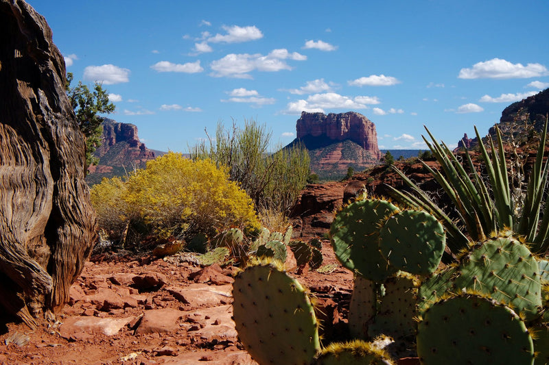 Sedona, Arizona study No. 02