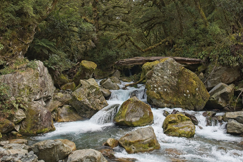 Milford Sound, New Zealand visual study 03