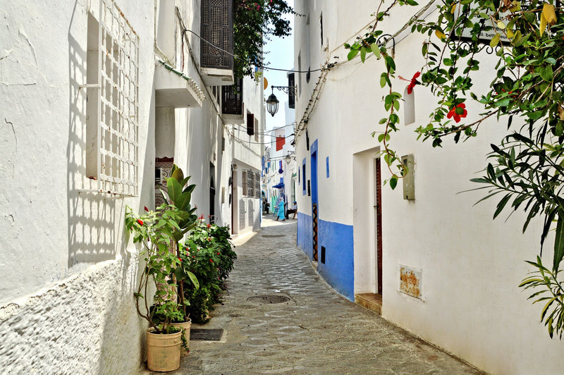 Asilah, Morocco study No. 03