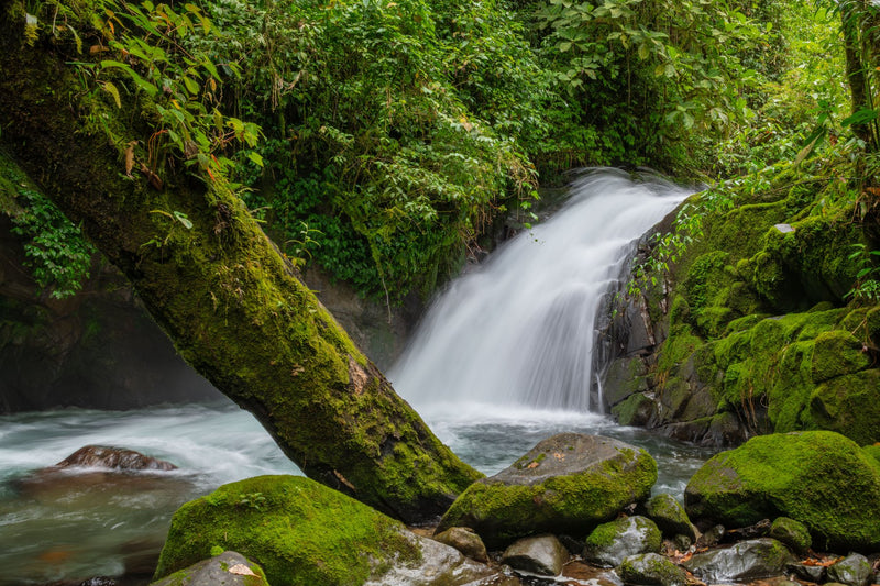 Monteverde, Costa Rica visual study 02