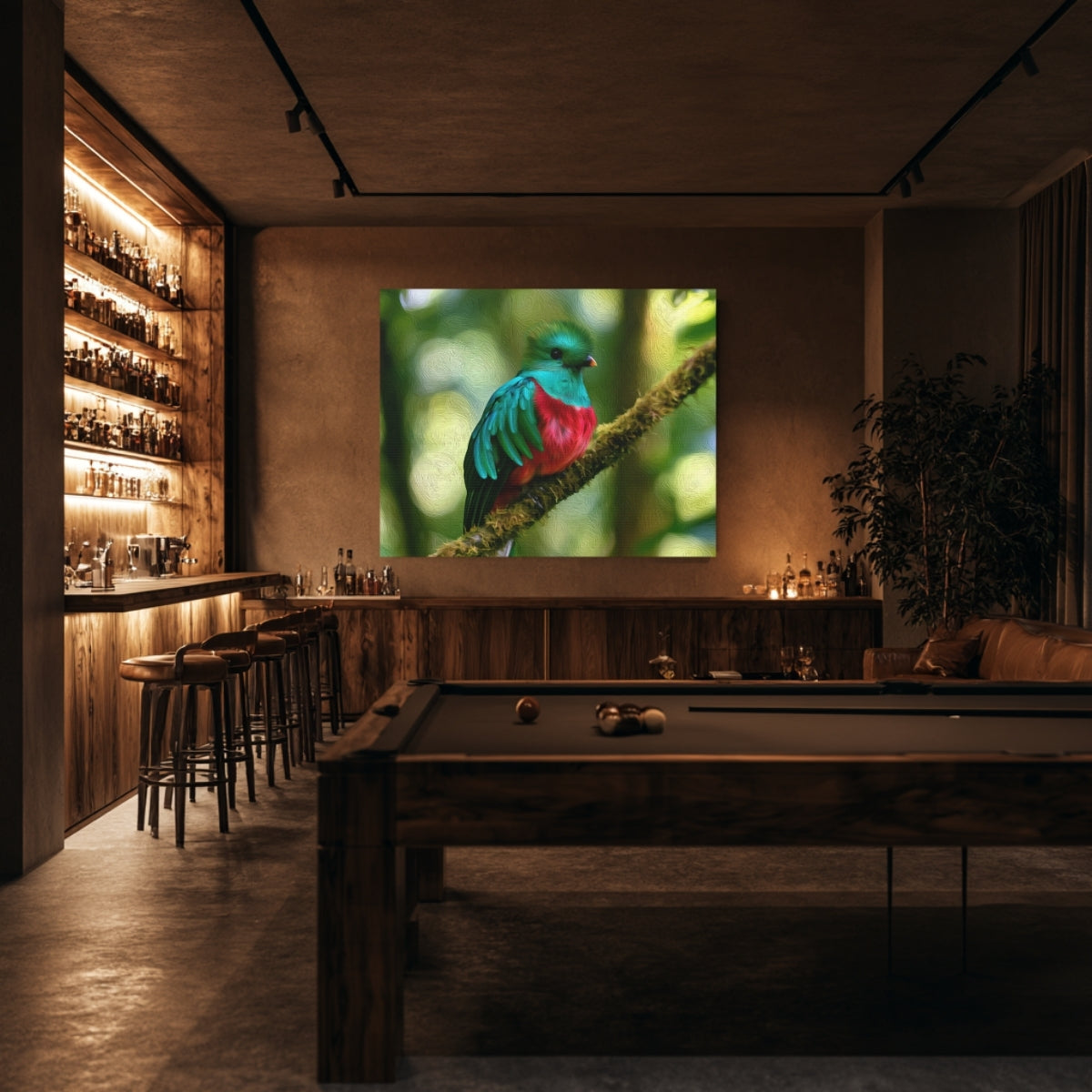 Resplendent Quetzal Cloud Forest — Monteverde, Costa Rica, view 5