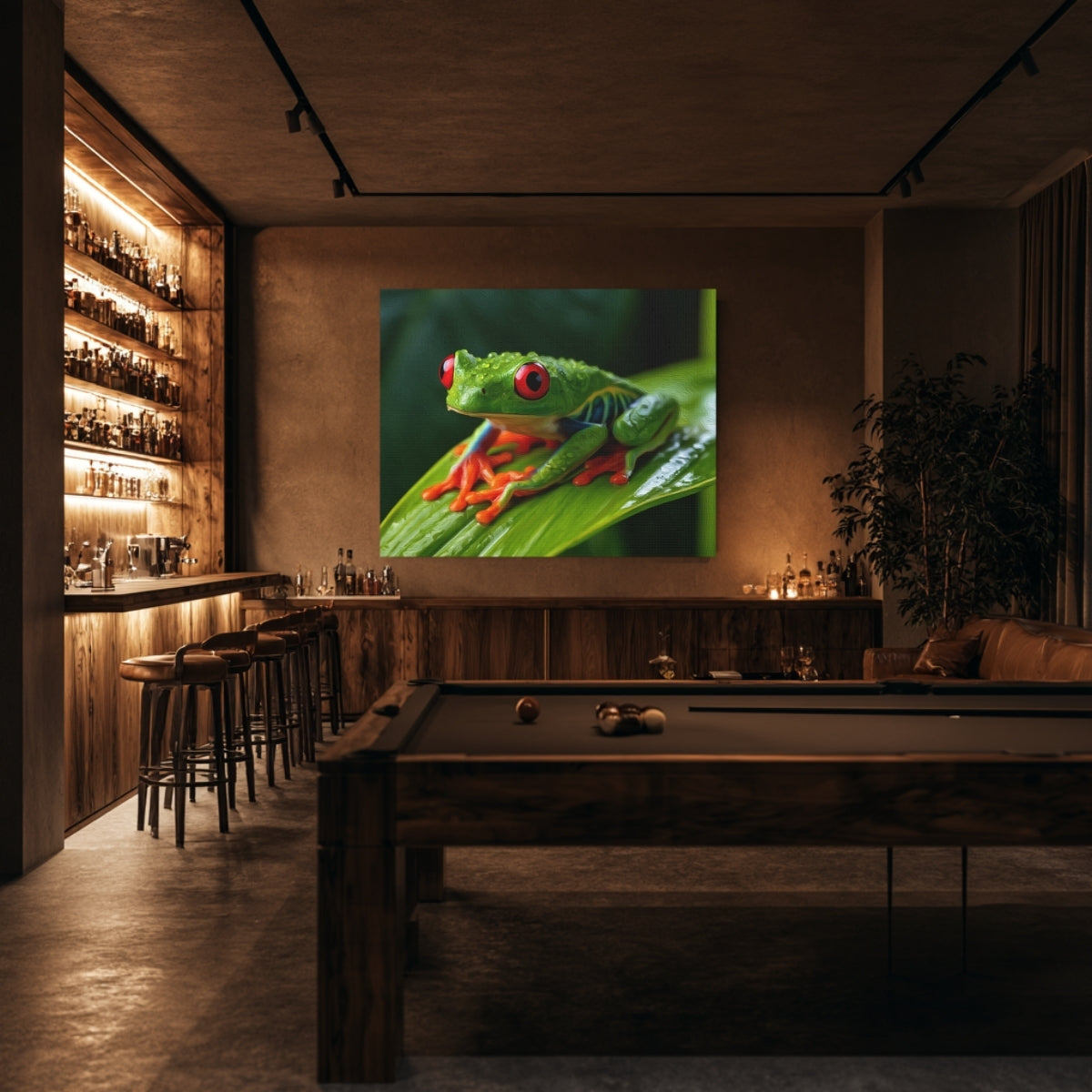 Red-Eyed Tree Frog — Monteverde, Costa Rica, view 5